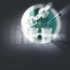 Medicine | Pharma